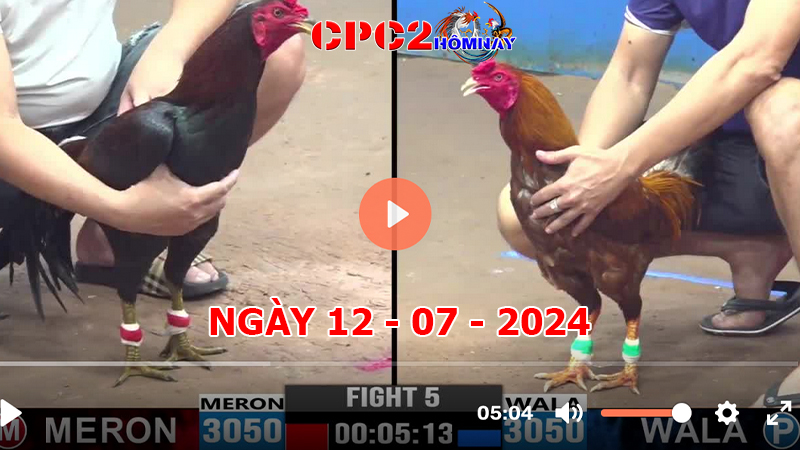 Đá gà CPC2 ngày 12-7-2024