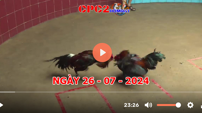 Đá gà CPC2 ngày 26-7-2024